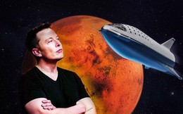 Giấc mộng thuộc địa hóa sao Hỏa của Elon Musk: Tưởng đông mà hóa ra chẳng thấm vào đâu