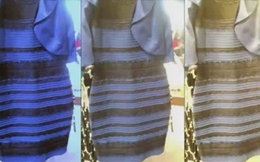 Cách chiếc váy gây tranh cãi nhất mạng xã hội tạo ra đột phá về khoa học thần kinh