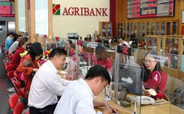 Một ngân hàng thu giữ 9 lô đất tại TP Thủ Đức