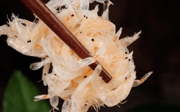 Tôm khô, vỏ trứng, canh xương, tưởng giàu canxi nhưng ăn nhiều lại lợi bất cập hại