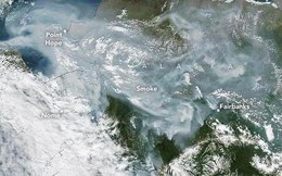 Bầu trời Bắc Cực đang đổi màu xám đen đáng sợ