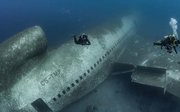 Xác máy bay dưới đáy Biển Đỏ trở thành điểm hút khách