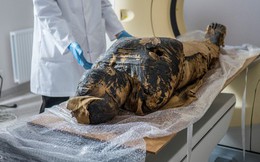 "Bí ẩn kép" xác ướp mang thai trong quan tài nam tu sĩ Ai Cập