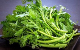 Loại rau vài nghìn/mớ lại là thuốc bổ máu, dưỡng tim, giải cảm… cực tốt