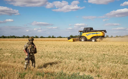 Thỏa thuận xuất khẩu được ký, nhưng giải cứu 22 triệu tấn ngũ cốc Ukraine không đơn giản