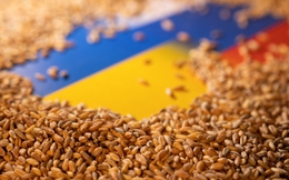 Xuất khẩu ngũ cốc ở Ukraine được nối lại: Tháo gỡ nút thắt nguồn cung lương thực