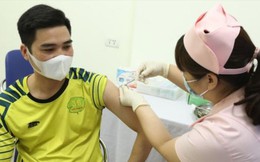 Biến thể phụ BA.5 có thể tiếp tục xâm nhập Việt Nam
