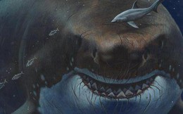 Quái vật "tiêu diệt" Megalodon đang bị loài đáng sợ hơn tàn sát