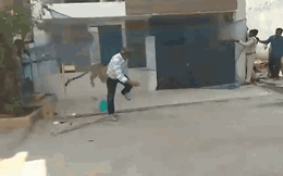Clip: Bị vây bắt, báo hoa mai nổi điên vồ ngã người đàn ông và cái kết
