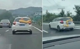 Rùng mình phát hiện con trăn khổng lồ bám ngoài ô tô chạy trên đường cao tốc