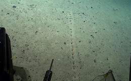 Những lỗ thủng kỳ lạ được phát hiện dưới đáy đại dương