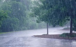 Nước mưa có chứa chất hóa học độc hại, không an toàn để uống