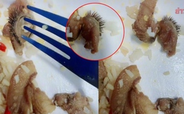 Những phát hiện 'hãi hùng' trong đồ ăn khiến thực khách chỉ muốn 'nghỉ ăn'