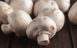 Có nên ăn nấm trong mùa mưa bão?