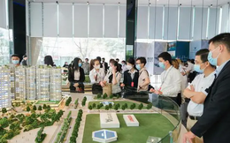 Vì sao giá rao bán chung cư ở Hà Nội tăng nhanh hơn TP.HCM?
