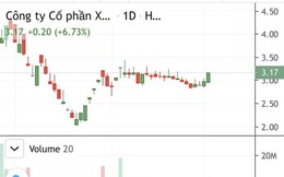 Đình chỉ giao dịch cổ phiếu ROS liên quan ông Trịnh Văn Quyết