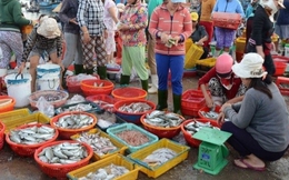 6 chợ hải sản đông đúc nhất Quảng Ninh