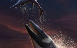 Phát hiện thủy quái lớn gấp đôi cá sấu, lai cá voi, rồng, rắn, T-rex