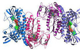 Mở rộng kho dữ liệu cấu trúc protein