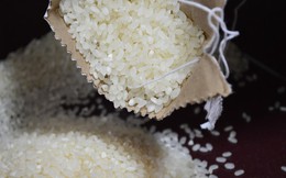 Gạo có 5 dấu hiệu này nhất quyết đừng mua vì có thể chứa chất gây ung thư gan