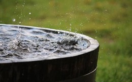 Nước mưa trên khắp thế giới đều có các hóa chất gây ung thư, khuyến cáo không sử dụng
