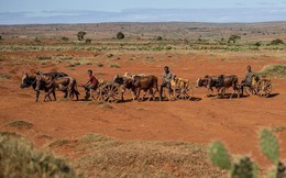 Hạn hán liên tiếp xảy ra ở Madagascar đã đẩy người dân đến bờ vực của nạn đói