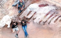 Phát hiện hóa thạch khủng long chân thằn lằn