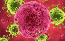 Nhiễm HIV vì những lần "dại dột" và cách phòng tránh căn bệnh thế kỷ