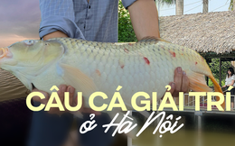 Những địa điểm câu cá giải trí ở Hà Nội giúp xua tan mọi buồn phiền