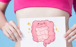 4 dấu hiệu cơ thể đang "phàn nàn" về sức khỏe đường ruột