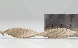 Vật liệu gỗ in 3D có thể biến hình