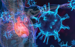 Nghiên cứu khoa học: Mắc COVID triệu chứng nhẹ cũng có thể tăng nguy cơ bị bệnh tim