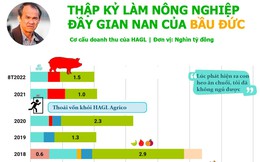 Thập kỷ làm nông nghiệp của bầu Đức: Xoay chuyển không ngừng, sau chuối - heo sẽ là gì?