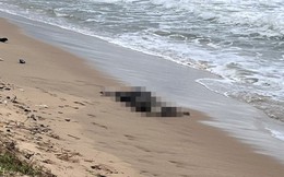 Phát hiện ít nhất 6 thi thể trôi dạt vào bờ biển Phú Quốc