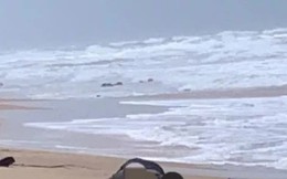 7 thi thể trôi dạt vào bờ biển Phú Quốc: Có 2 căn cước công dân Trung Quốc