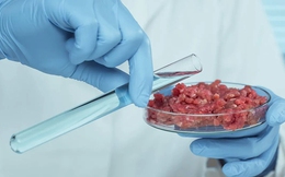 Sản xuất thịt nhân tạo nhờ từ trường, các nhà khoa học Singapore đạt được đột phá ấn tượng