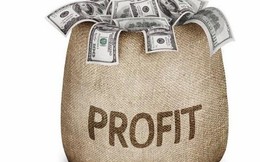 19 gương mặt công bố ước tính lợi nhuận quý 4: BIDV lãi gấp đôi trong khi Vietinbank giảm lãi 18%, Vietnam Airlines, BSR dự kiến lỗ lớn
