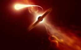 Phát hiện hai hố đen siêu lớn thích 'ăn vặt'