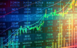 Khai xuân Quý Mão, cổ phiếu ngân hàng ngập trong sắc xanh