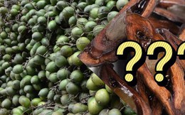 Không ngờ quả cau của Việt Nam lại trở thành món kẹo lạ tại nước bạn, được người dân cực thích