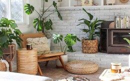 9 cách trang trí nhà cửa không thể bỏ lỡ khi xuân về