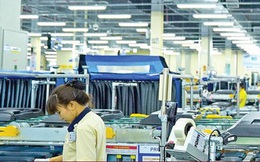 TP Hồ Chí Minh thu hút gần 550 triệu USD vào các khu chế xuất và công nghiệp