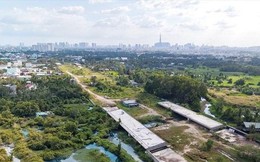 Bà Rịa - Vũng Tàu đấu giá loạt khu ‘đất vàng’