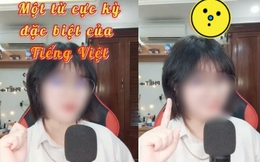Từ tiếng Việt đến người Việt cũng phải "lú" vì có 7749 cách dùng: Ai biết hết chắc ngày xưa học giỏi lắm!