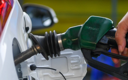 Xuất hóa đơn điện tử bán lẻ xăng dầu: Tại sao doanh nghiệp vẫn chần chừ?