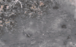 [Image: photo1700839611525-1700839611677625332679.gif]