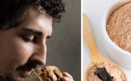 Tiệm bánh ở Italy làm bánh mì từ bột côn trùng