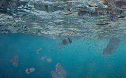 Nhựa chiếm 80% rác thải trong môi trường biển Địa Trung Hải