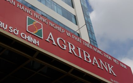 Một công ty xây dựng bị ngân hàng đem bán đấu giá lô đất 10.500m2 với giá khởi điểm gần 58 tỷ đồng