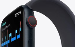 Ai đang thống trị thị trường thiết bị đeo thông minh?